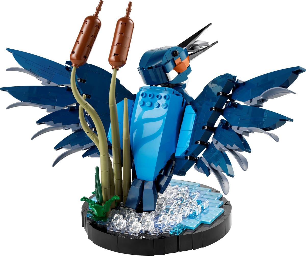 Icons : le martin-pêcheur