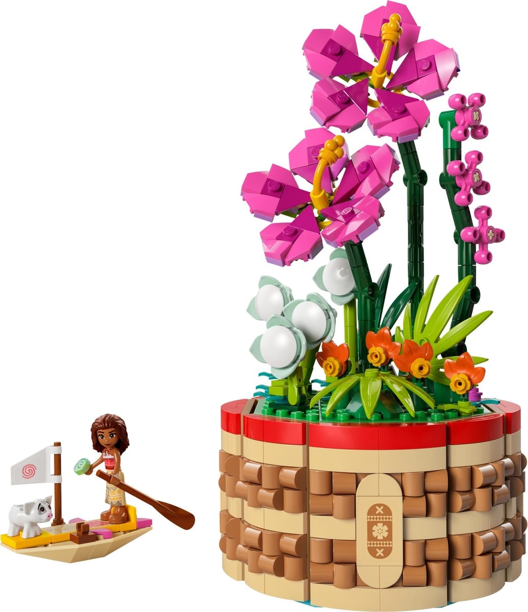 Disney: Moana’s Flowerpot