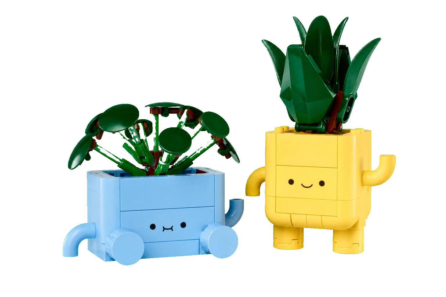 Botanicals : plantes joyeuses