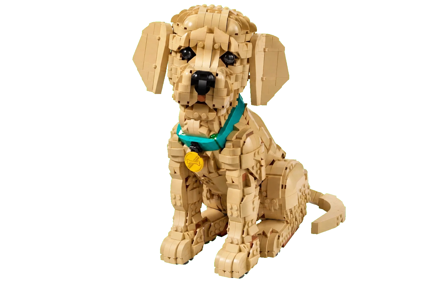 Le chiot golden retriever