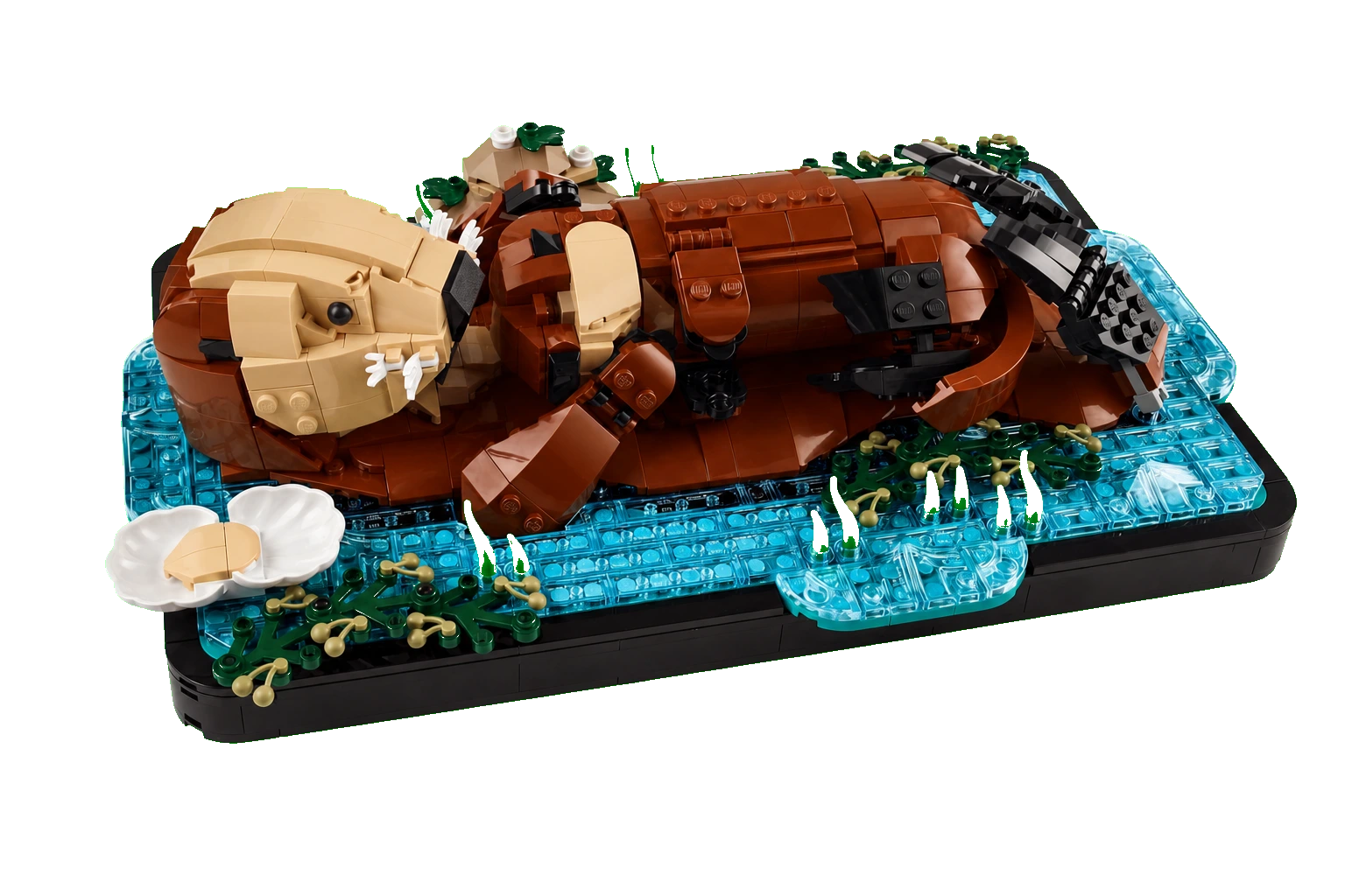 Ideas : les loutres de mer flottantes