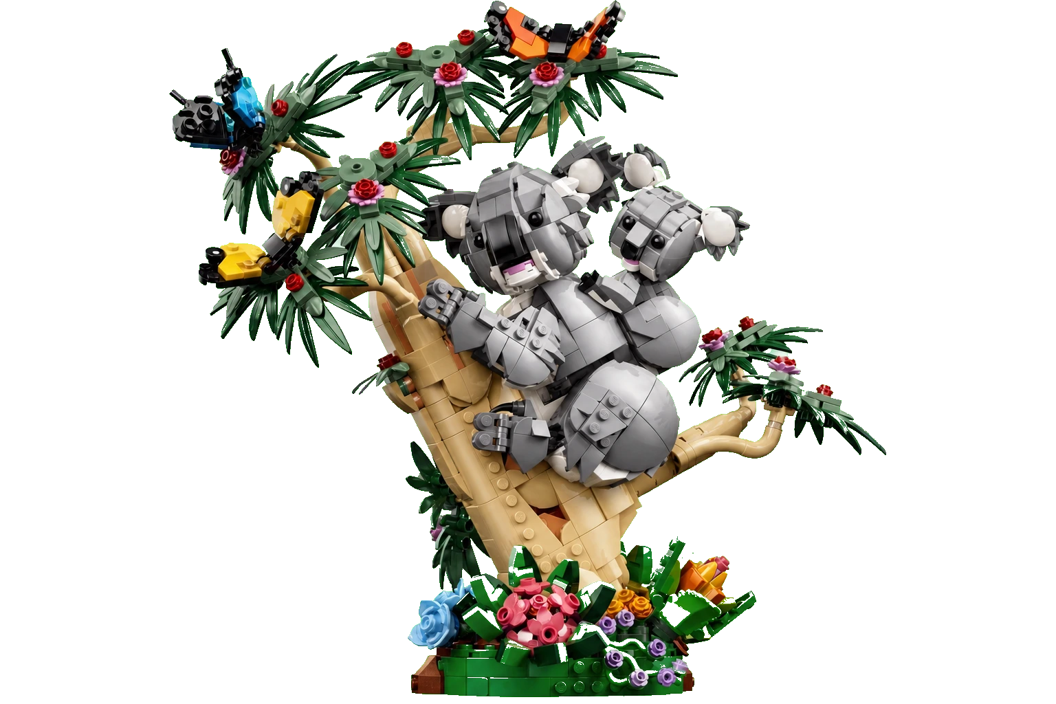 Creator : Animaux sauvages, la famille de koalas