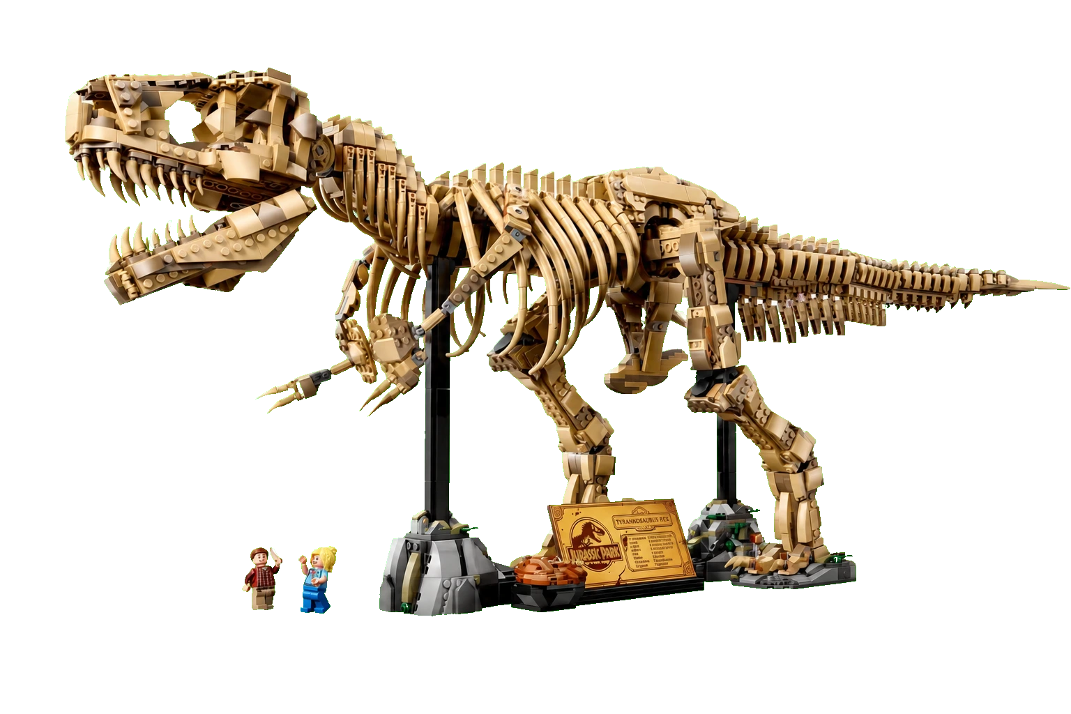 Jurassic World : fossiles de dinosaure - Tyrannosaurus Rex