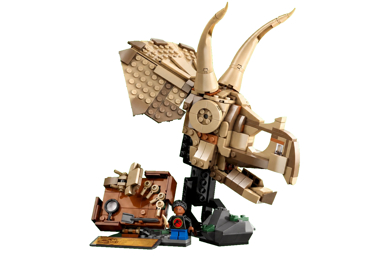 Jurassic World: Dinosaur Fossils: Triceratops Skull