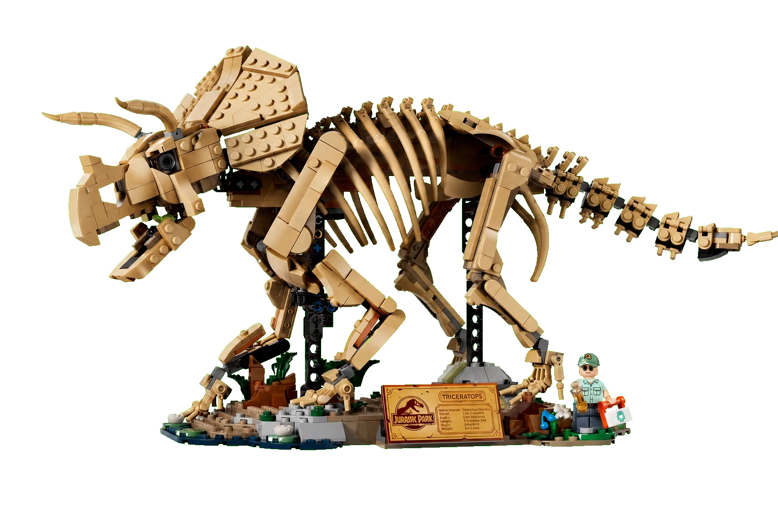 Jurassic World : fossiles de dinosaure : le tricératops